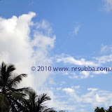 Nature and Place