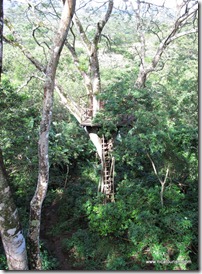 IMG_2363 IMG_2363