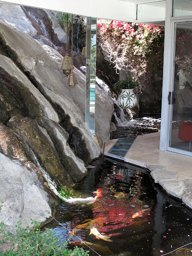 A koi pond on the edge of the house