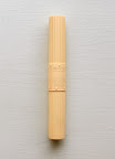 Travel toothbrush case