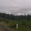 IMAG0305.jpg