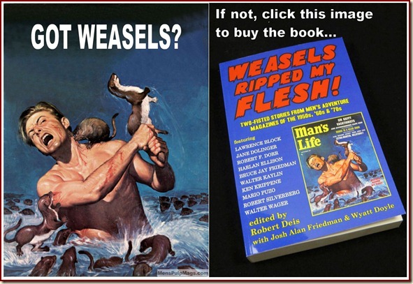 Got Weasels - click this link Got Weasels - click this link