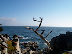 Overlooking the Pacific Ocean
