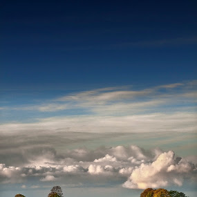 Leighterton by Nick Holland - Landscapes Prairies, Meadows & Fields