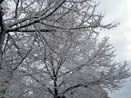 Neve a Roma 04 febbraio 2012