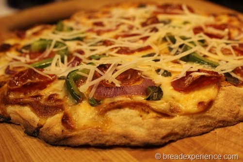 [no-knead-pizza-dough034%255B3%255D.jpg]