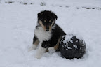 _DSC0109.JPG