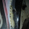 DSC05689.JPG