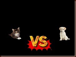 ! kitten vs puppy