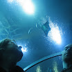me and B trip to boston and ga aquarium 135.JPG