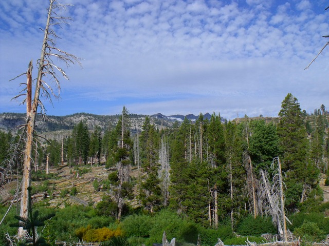 [mammoth%2520045%255B4%255D.jpg]