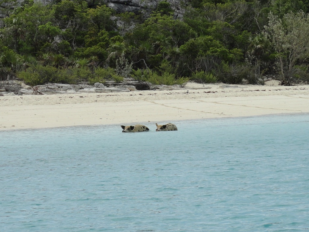 [DSC015693.jpg]