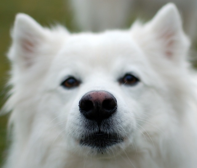 [DSC_5201%255B4%255D.jpg]