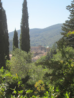 IMG_0046.JPG