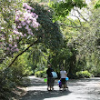 botanicalgarden.jpg botanicalgarden.jpg