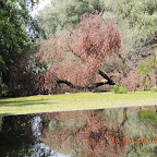 DSCN2982.JPG
