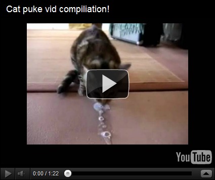 Cats Puking