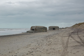 DSC_0182.JPG