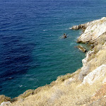 Hydra
