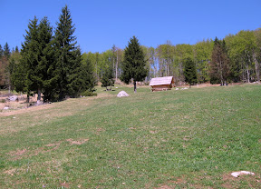 IMG_1439_resize.jpg