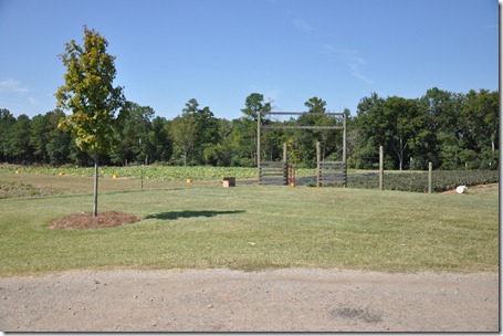 southern belle farm 100611 (67)
