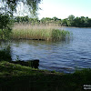 dsc02911.jpg