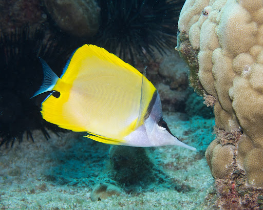 P3242860