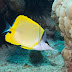 P3242860