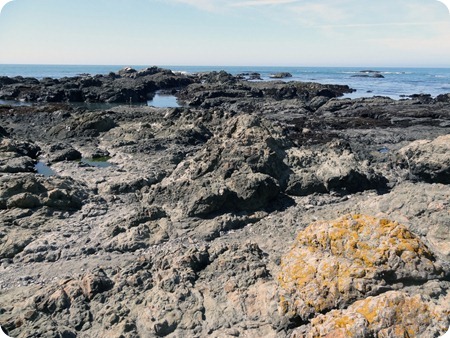 Rugged coast line