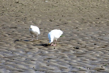 IMG_1134 IMG_1134
