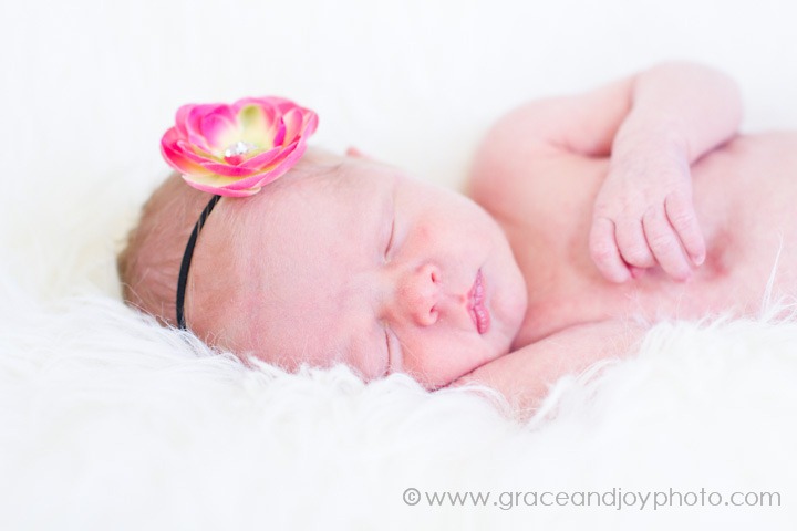 [20111017_graceandjoyphotography_090_%255B2%255D.jpg]