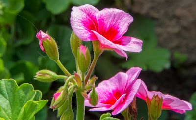 meteora-plastira-126 (1024x629).jpg