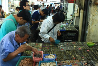 IMG_7431 IMG_7431