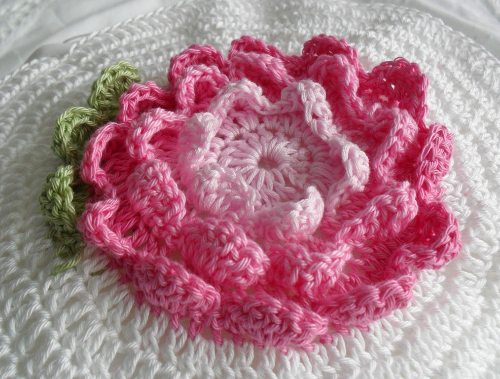 [SAM_3557%255B12%255D.jpg]