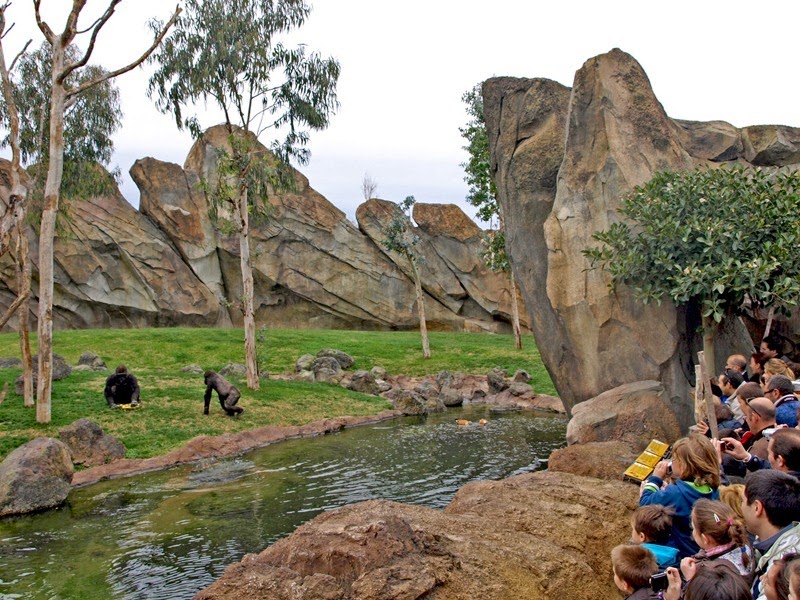 Bioparc Valencia