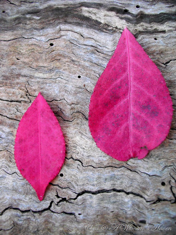 [054%2520%25282%2529%255B13%255D.jpg]