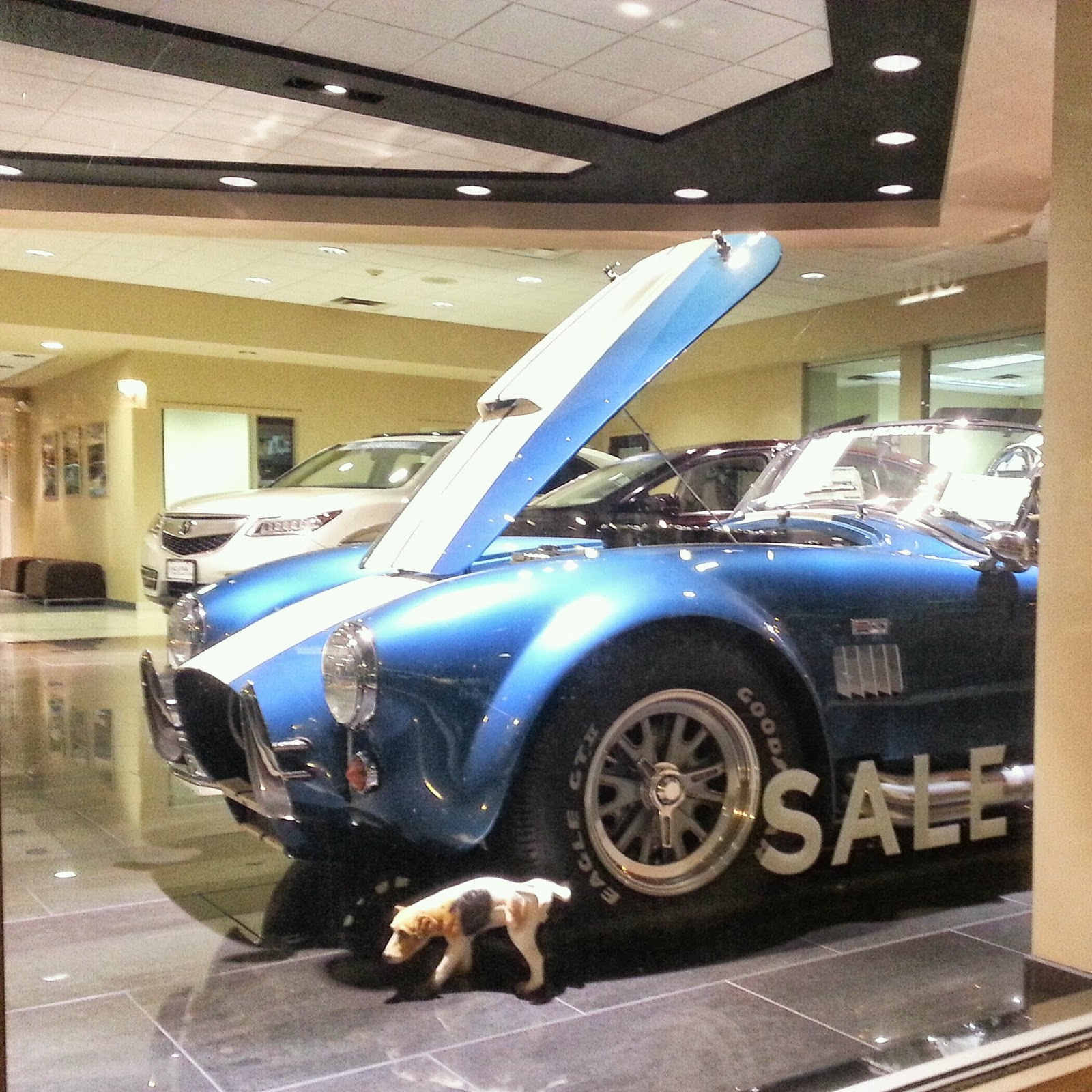 Robert Dyer Bethesda Row SNEAK PREVIEW OF BACK TO BETHESDA CAR SHOW