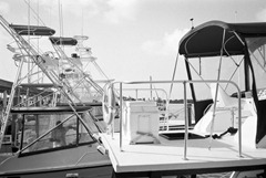 Film-34-11