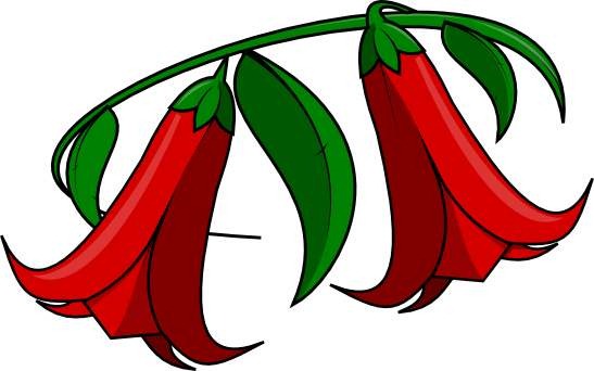 [copihue%2520color%25201%255B3%255D.jpg]
