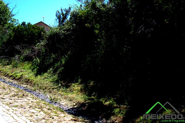 [IMG_2214%255B4%255D.jpg]