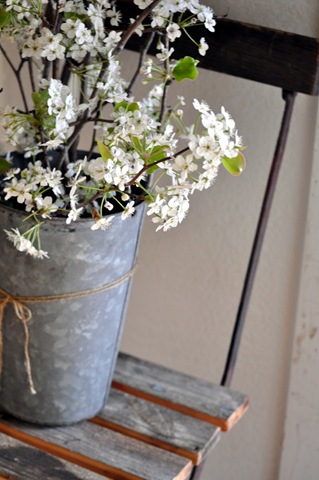 [blossoms%2520bistro%2520chair%255B5%255D.jpg]