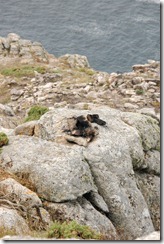 Oporrak 2011, Galicia -Fisterra 21 Oporrak 2011, Galicia -Fisterra 21