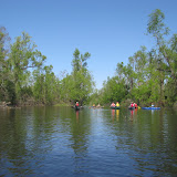IndianBayouWildlifeObservationPaddleTrip