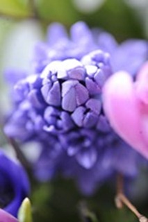 20120223_100825