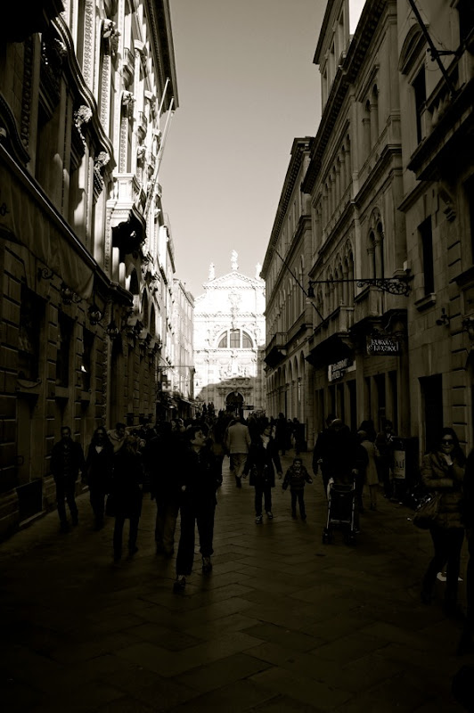 DSC01484.jpg DSC01484