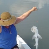 Cindy catches a bonnethead shark.