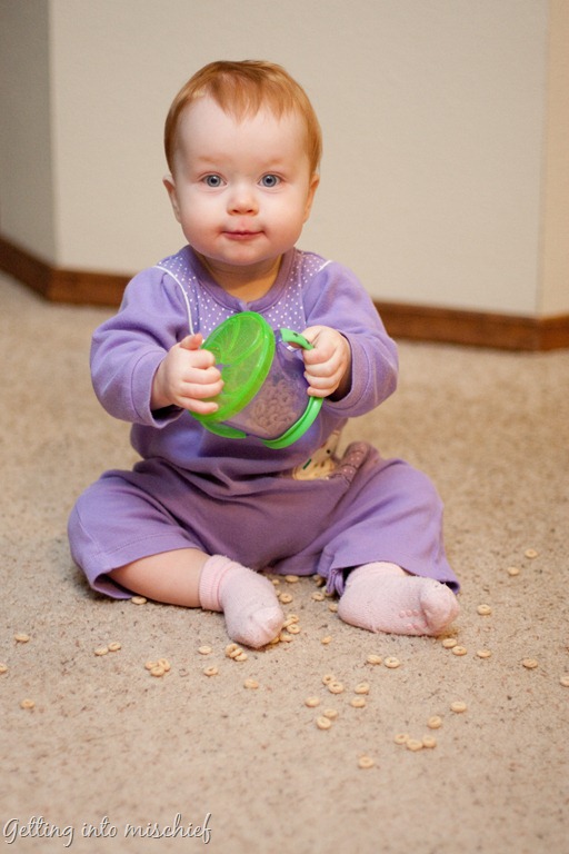 [20111020-IMG_8028%255B9%255D.jpg]