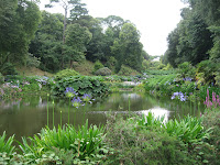 Sub tropical garden pond