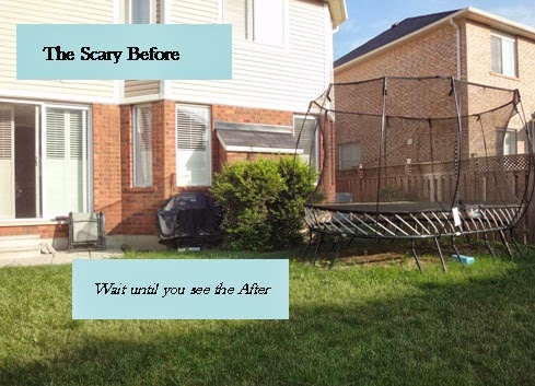 [backyardbefore%255B3%255D.jpg]