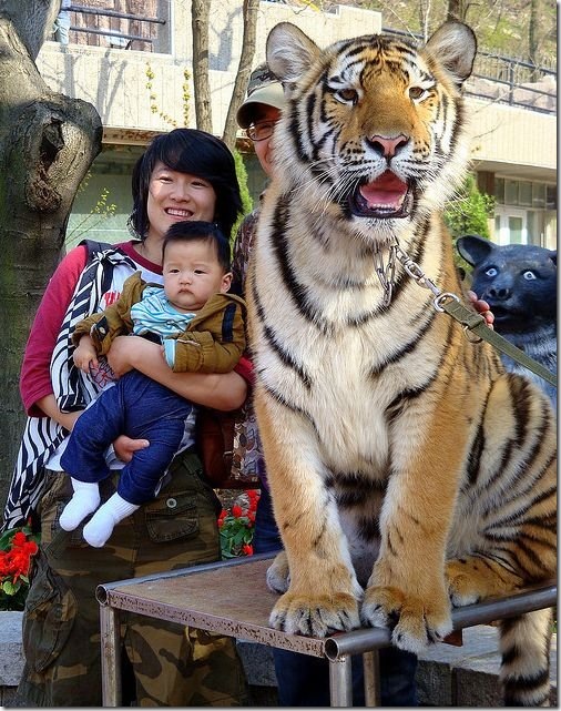 china-mean-while-43e9c5